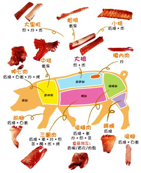豬肉位置